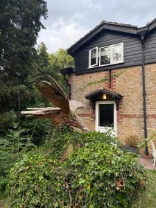a tree that has fallen on a house at High Barn in Thursley