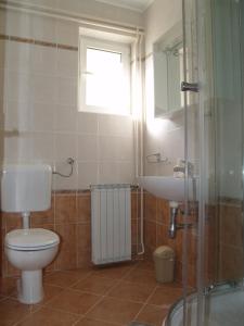 a bathroom with a toilet and a sink at Apartment Roglić in Rab