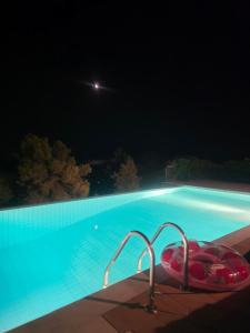 a swimming pool at night with a red float in it at Azure Theologos Villa in Theologos
