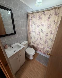 a bathroom with a toilet and a sink and a shower curtain at Hospedaje Naomi in Valparaíso