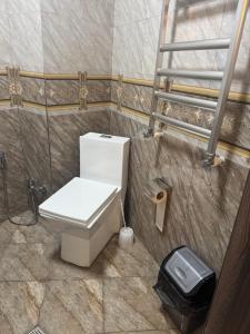 a bathroom with a white toilet and a ladder at Northern City Hotel in Zaqatala