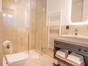 a bathroom with a shower and a toilet and a sink at Dachstein Grand Alpine Lodge in Mitterberg-Schladming-Dachstein +46 photos
