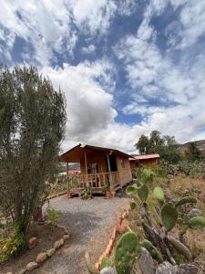 a house in the middle of a field with cactus at Glamping Entre Nopales - Sáchica cerca a Villa de Leyva in Sáchica