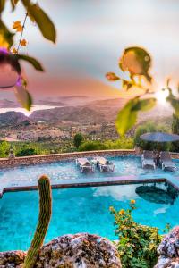 a view of a pool with a cactus at El Valle Dorado in El Gastor