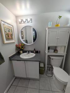a bathroom with a sink and a toilet and a mirror at North York Quiet Room#2 in Toronto +41 photos