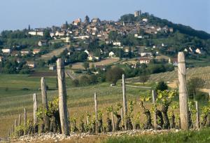 een wijngaard op een heuvel met een dorp op de achtergrond bij Hotel De La Loire in Saint-Satur