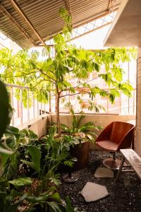 a room with a chair and plants and a tree at sishi hostel 巳時旅宿 in Tainan