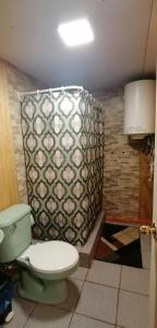 a bathroom with a toilet and a shower curtain at Departamento Tepual in Llanquihue
