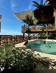 a resort with a swimming pool and a deck with flowers at Costa Catalina in Santa Catalina