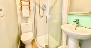 a bathroom with a toilet and a sink and a shower at The Loriston in Eastbourne