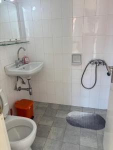 a bathroom with a shower and a toilet and a sink at Odysseia Apartments in Nikiana +55 photos