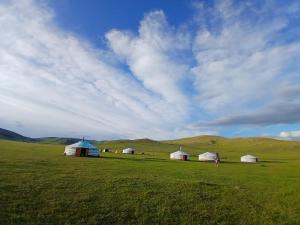 a group of barns in a field under a cloudy sky at Mongolian traditional Ger accomodation in Narst