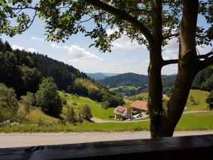 a view of a valley with a house and a tree at Hotel 3 Könige in Oberwolfach