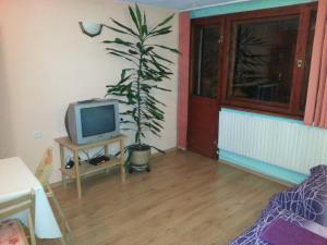 a living room with a tv and a plant at Guest House Drakite in Belogradchik