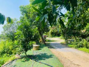 a dirt road with trees on the side of it at Hideaway Village Homestay in Xuân Sơn