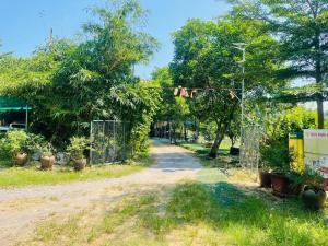 a dirt road with a fence and some plants at Hideaway Village Homestay in Xuân Sơn