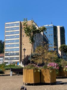 a bird is sitting in front of a building at UltraCentralHome in Piatra Neamţ