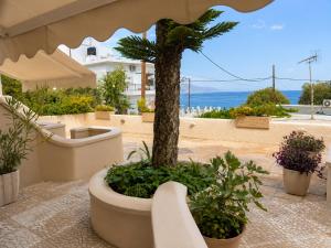 a patio with a palm tree and plants and an umbrella at Soula Apartments & Studios in Palaiochora