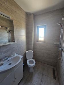 a bathroom with a toilet and a sink and a window at Pensiunea LA ANI in Vadu
