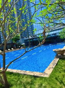 a large blue swimming pool in a city at Ruilan Courtyard in Shenzhen +33 photos
