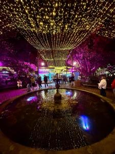 a fountain in a park with christmas lights at Mazziu's villa in Cans +53 photos