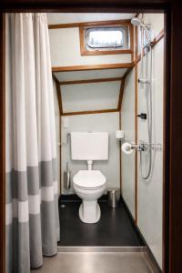 a bathroom with a toilet and a curtain at Zeilschip de Alliantie Kampen in Kampen