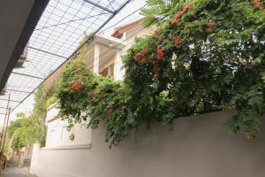 a building with plants on the side of it at Neduh House Pererenan in Pererenan