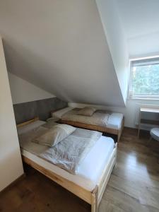 two bunk beds in a room with a window at Noclegi Pod Dębem in Wójtowo