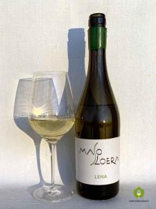 a bottle of white wine next to a glass at Agriturismo Maso Loera in Pelugo