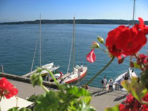 ユーバーリンゲンにあるHotel Strandcafé Dischingerの赤い花の桟橋に停泊する船