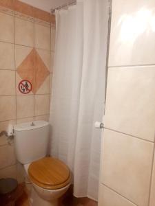 a bathroom with a toilet with a white shower curtain at Cozy apartment in Piraeus +2 photos