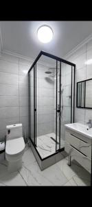 a bathroom with a shower and a toilet and a sink at Eleon in Almaty