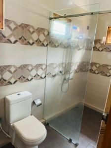 a bathroom with a toilet and a shower at MTR Guesthouse in Jaffna