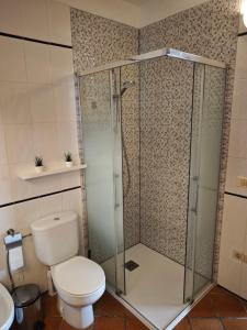 a bathroom with a toilet and a glass shower at Casa Luz in Hermigua +18 photos