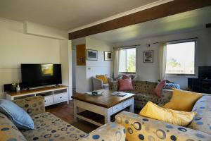 a living room with a couch and a tv at Alpzview Guesthouse in Tawonga