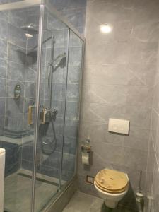 a bathroom with a shower and a toilet at Amor in Klake +12 photos