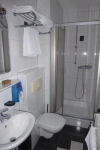 a bathroom with a shower and a toilet and a sink at Hotel Ring Park in Buchen