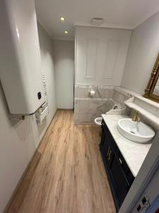 a bathroom with a sink and a toilet at Le Rococo f2 climatisé plein centre in Monistrol-sur-Loire