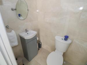 a bathroom with a toilet and a sink and a mirror at Greenfield House in Aghavas +20 photos