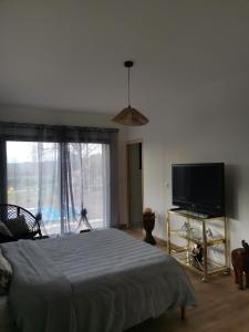 a bedroom with a bed and a flat screen tv at Au domaine Isabelle in Lorgues