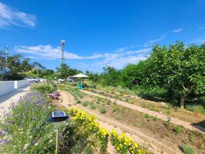 a garden with purple and yellow flowers on a road at Goseong Maris Pension in Goseong