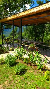a picnic shelter with a picnic table in the grass at olya's garden in Tsʼageri