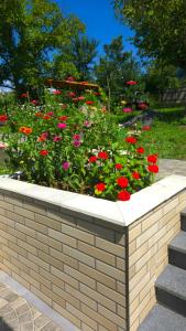 a flower garden with red flowers in a brick wall at olya's garden in Tsʼageri