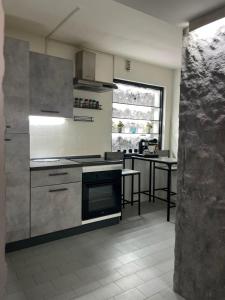 a kitchen with stainless steel appliances and a table at La Cascata in Valbrenta 