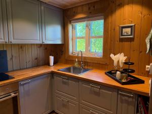 a kitchen with a sink and a counter top at Cozy Cabin With Ski Trail Access in Beitostøl +15 photos