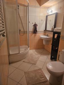 a bathroom with a shower and a toilet and a sink at Apartament Merkury in Koszalin