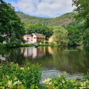 a view of a river with houses and mountains in the background at Hotel-Café Residenz Bad Bertrich in Bad Bertrich