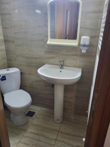 a bathroom with a toilet and a sink and a mirror at Casa Diana in Curtea de Argeş