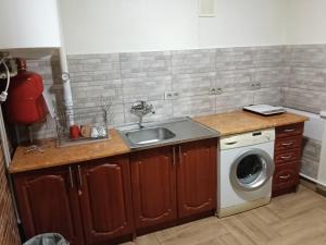a kitchen with a sink and a washing machine at Шепіт Річки in Mizhhirya