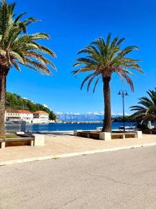 two palm trees sitting next to a body of water at Damir Apartments Bonina in Jelsa